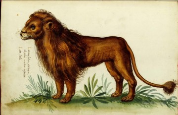 ライオン Painting - 動物 ライオン イタリア語